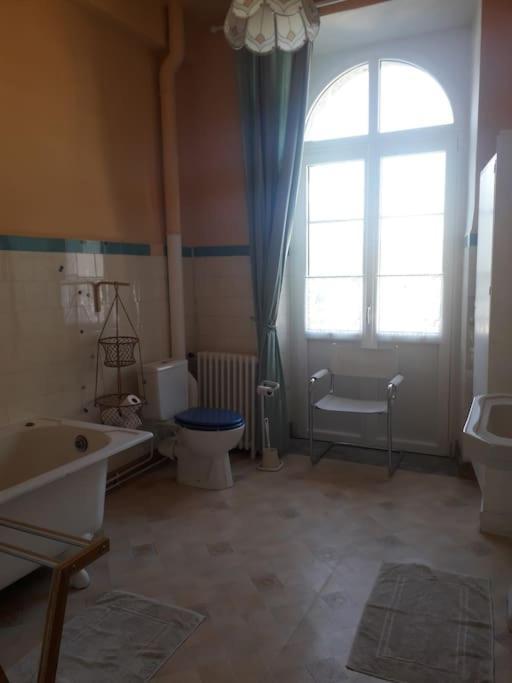 Magnifique Maison De Maitre Du 18E Avec Jardin Лю-Сен-Совер Екстер'єр фото